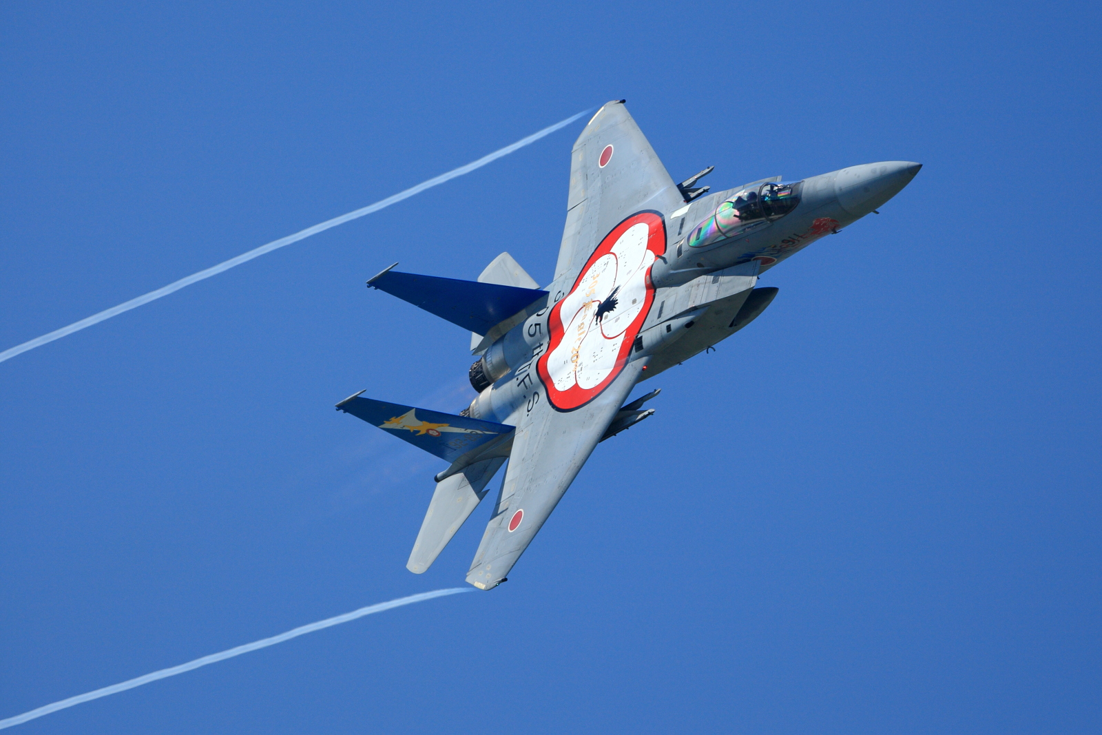 Japan_air_self_defense_force_Mitsubishi_F-15J_305SQ_20th_anniv._RJAH